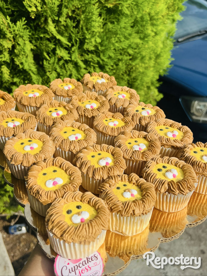 Pasteles de cumpleaños · San Nicolás de los Garza · Cupcakes joss